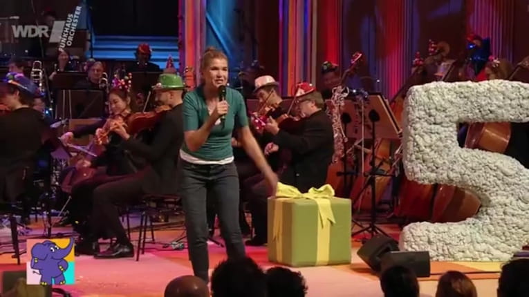 35KonzertmitdemElefanten2025