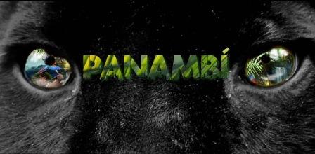 PANAMBI kaart LowRes1