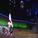 images/Voorstellingsfotos/Pulcinella/31Pulcinella_Livestream.jpg